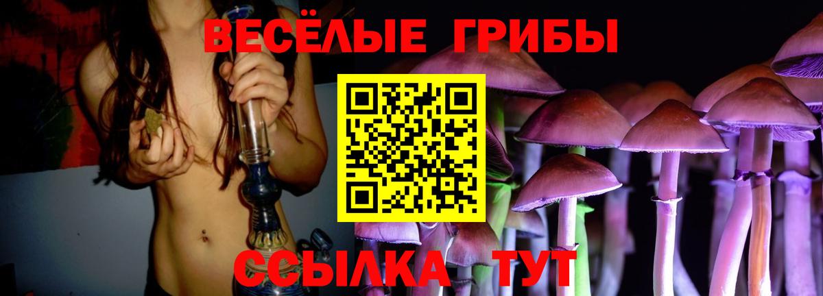 сколько стоит  Галлюциногенные грибы мицелий  Вход с VPN  Тобольск  Галлюциногенные грибы Psilocybe 
